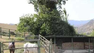 Rustic House in Grazalema photo 38