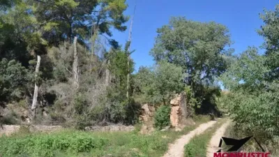 Rustic house in Vila-rodona photo 28