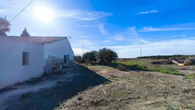 Chalet in Elx - Elche photo 26