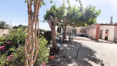 Rustic house in Torrellano-Valverde-Business Park photo 21