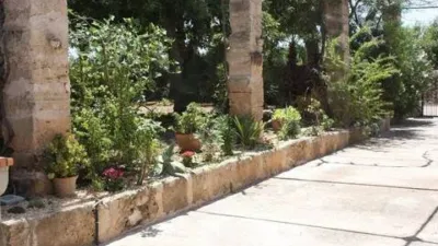 Chalet in Ca'n Picafort photo 16