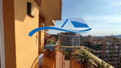Apartment in Els Pins photo 24