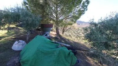 Chalet in El Gastor photo 27