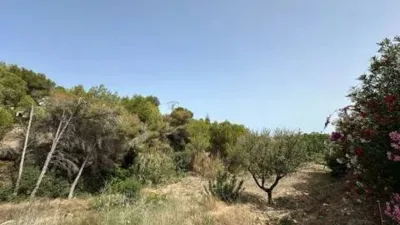 Terreno en venta en La Fustera - Más