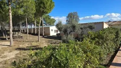 Rustic House in Salinas photo 15