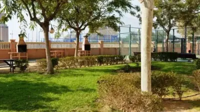 Apartment in Carrer Hisenda de l'Administrador photo 43