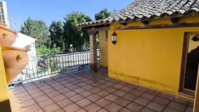 Chalet in Baños de La Encina photo 28