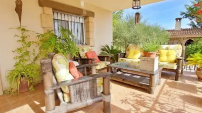 Casa – Elx - Elche - Vista 4