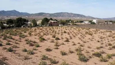 Terreno en venta en El Pinós - Pinoso - Vista 2