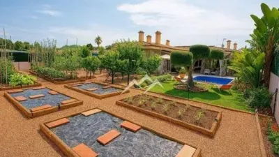 Chalet en Son Serra de Marina photo 21