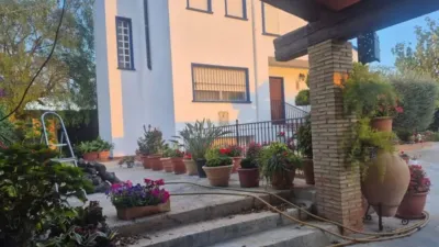 Piso – Orihuela, Josefina Manresa - Vista 2