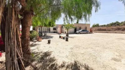 Rustic house in Torrellano-Valverde-Business Park photo 37