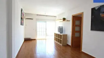 Apartment in Santa Aurelia photo 7