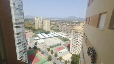 Apartment in Carrer Hisenda de l'Administrador photo 17