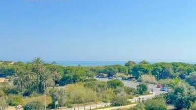 House in Gran Alacant photo 10