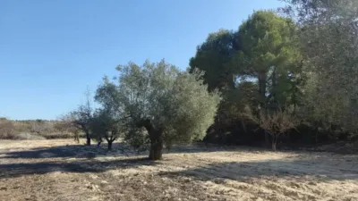 Casa – Orihuela - Vista 3