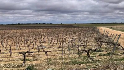 Terreno en venta en Tarazona de La Mancha - Vista 3