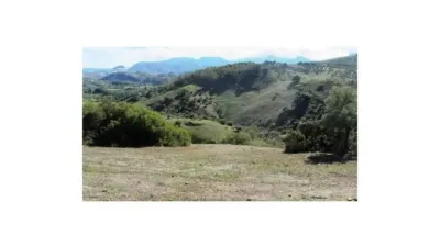 Chalet in Algodonales photo 6