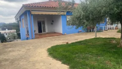 Chalet in L'Alcora photo 22
