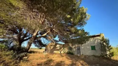 Rustic house in Muro photo 6