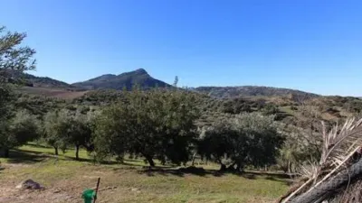 Chalet in El Gastor photo 42