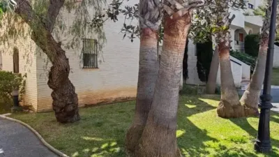 Chalet in Elx - Elche photo 25