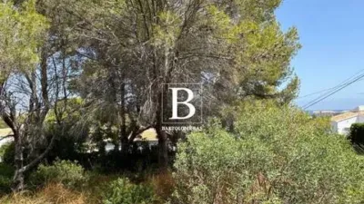 Terreno en venta en Calle de la Orquídea - Vista 5