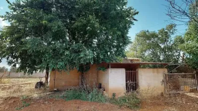 Rustic house in Son Sardina photo 5