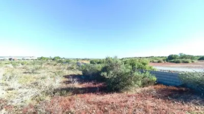 Terreno en venta en Carretera a Elche - Vista 5