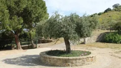 Rustic House in Grazalema photo 11