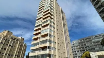 Apartment in Playa del Arenal Bol-Playa del Cantal Roig photo 12