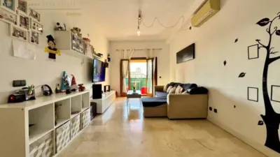 Apartment in Alcúdia photo 19