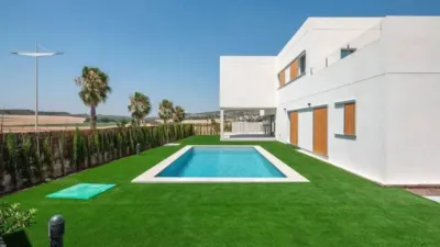 Chalet in Algorfa photo 16
