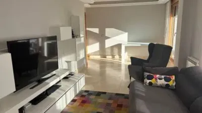 Penthouse in Valle de Trapagaran photo 18
