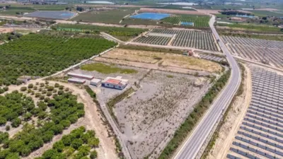 Pis – Almoradí - Vista 2