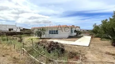 Chalet in La Oliva photo 15
