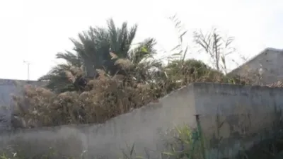 Terreno en venta en Orihuela - Vista 3