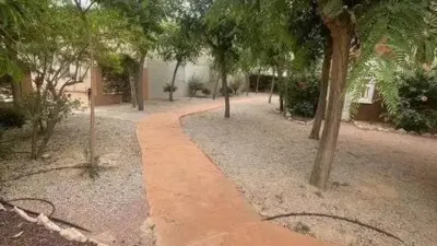 Casa – Elche/Elx, la Rata, el Baix Vinalopó - Més