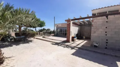 Rustic house in Torrellano-Valverde-Business Park photo 19