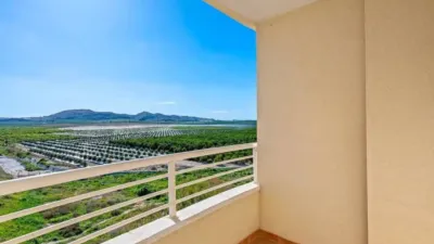 Piso – Algorfa - Vista 2
