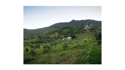 Rustic house in El Gastor photo 3