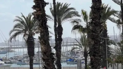 Pis – Torrevieja - Més