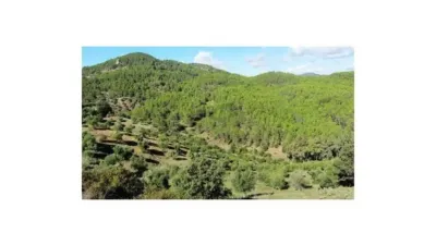 Chalet in Algodonales photo 10