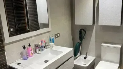 Penthouse in Valle de Trapagaran photo 29
