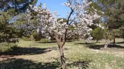 Terreno en venta en Albacete Capital - Vista 2