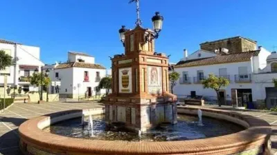 Apartment in Bornos photo 22