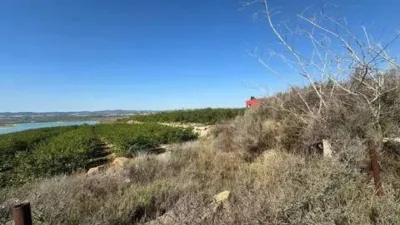 Terreno en venta en Orihuela Pedanías - Vista 5