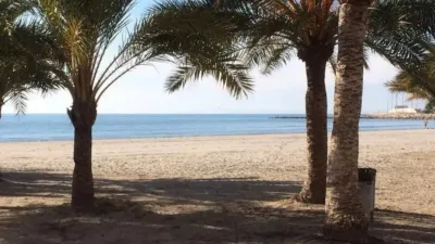 Penthouse in Tamarit-Platja Lissa photo 15