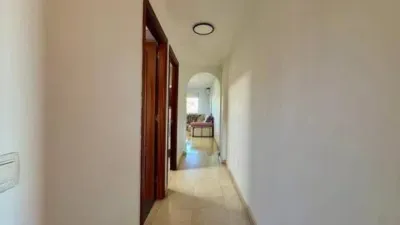Penthouse in Los Pacos photo 7