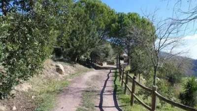 Rustic House in El Gastor photo 17